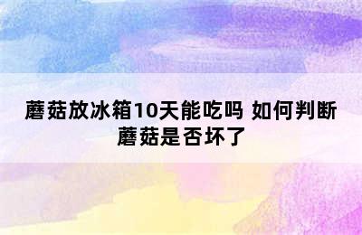 蘑菇放冰箱10天能吃吗 如何判断蘑菇是否坏了